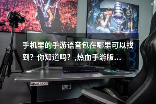手机里的手游语音包在哪里可以找到?你知道吗?,热血手游版里面用的是什么语音软件可以自动播放语音的-第1张-游戏资讯-龙启网络