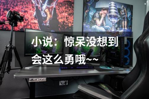 小说:惊呆...没想到会这么勇哦~~-第1张-游戏资讯-龙启网络