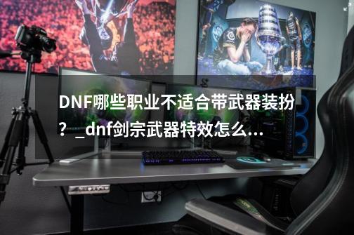 DNF哪些职业不适合带武器装扮?_dnf剑宗武器特效怎么关-第1张-游戏资讯-龙启网络