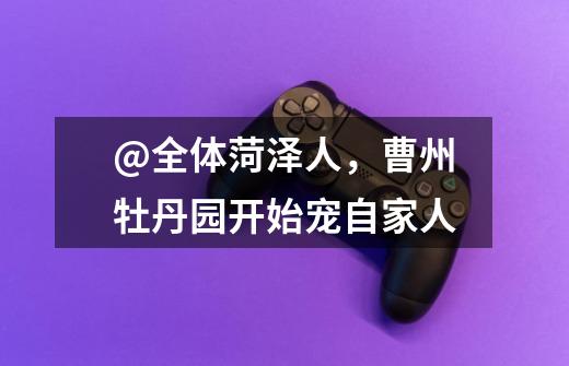@全体菏泽人，曹州牡丹园开始宠自家人-第1张-游戏资讯-龙启网络