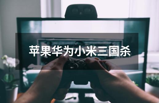 苹果华为小米三国杀-第1张-游戏资讯-龙启网络