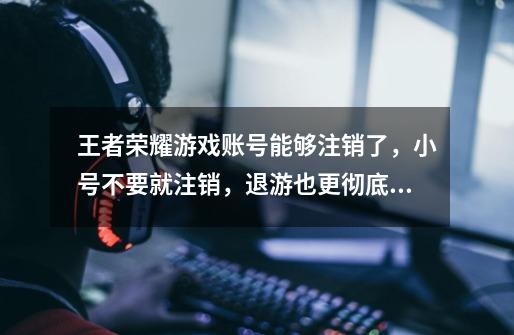 王者荣耀游戏账号能够注销了,小号不要就注销,退游也更彻底了-第1张-游戏资讯-龙启网络