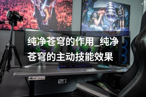 纯净苍穹的作用_纯净苍穹的主动技能效果-第1张-游戏资讯-龙启网络