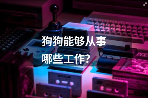 狗狗能够从事哪些工作?-第1张-游戏资讯-龙启网络