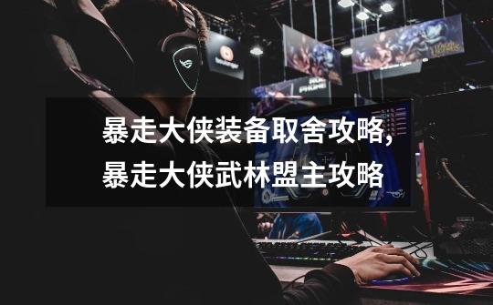 暴走大侠装备取舍攻略,暴走大侠武林盟主攻略-第1张-游戏资讯-龙启网络