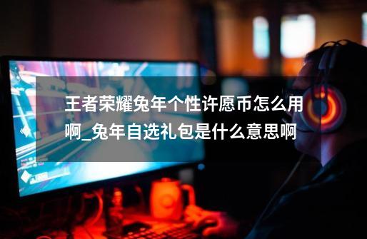 王者荣耀兔年个性许愿币怎么用啊_兔年自选礼包是什么意思啊-第1张-游戏资讯-龙启网络