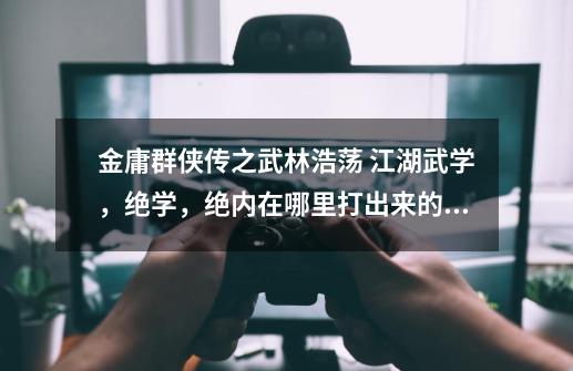 金庸群侠传之武林浩荡 江湖武学,绝学,绝内在哪里打出来的_武林浩荡18攻略-第1张-游戏资讯-龙启网络