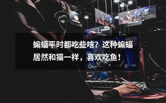 蝙蝠平时都吃些啥?这种蝙蝠居然和猫一样,喜欢吃鱼!-第1张-游戏资讯-龙启网络
