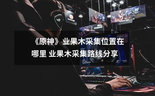 《原神》业果木采集位置在哪里 业果木采集路线分享-第1张-游戏资讯-龙启网络