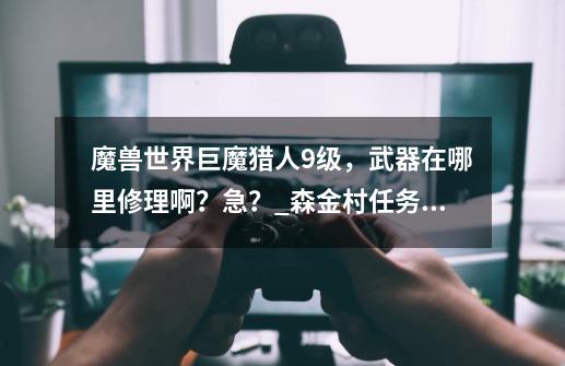 魔兽世界巨魔猎人9级,武器在哪里修理啊?急?_森金村任务攻略-第1张-游戏资讯-龙启网络