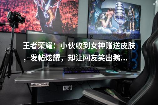 王者荣耀:小伙收到女神赠送皮肤,发帖炫耀,却让网友笑出鹅叫!-第1张-游戏资讯-龙启网络