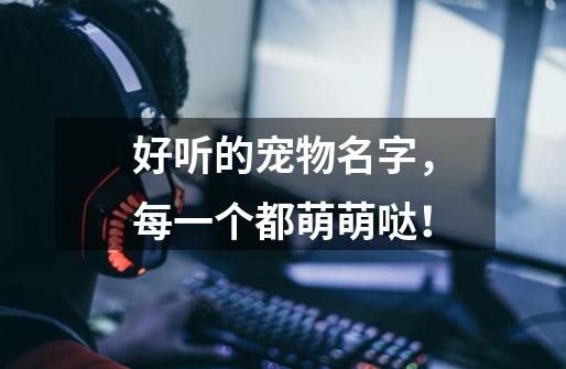 好听的宠物名字,每一个都萌萌哒!-第1张-游戏资讯-龙启网络