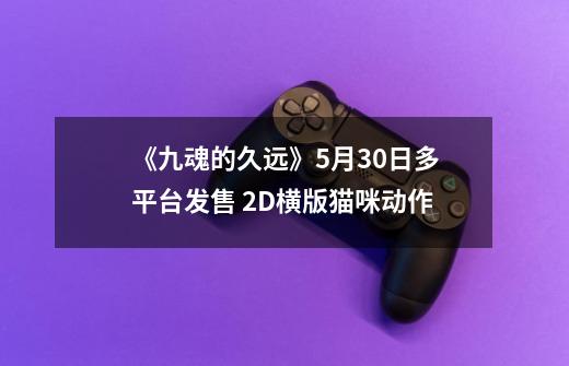 《九魂的久远》5月30日多平台发售 2D横版猫咪动作-第1张-游戏资讯-龙启网络