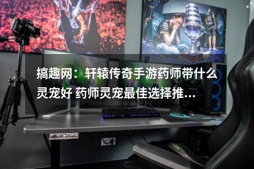 搞趣网:轩辕传奇手游药师带什么灵宠好 药师灵宠最佳选择推荐-第1张-游戏资讯-龙启网络