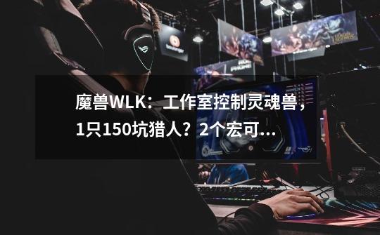 魔兽WLK：工作室控制灵魂兽，1只150坑猎人？2个宏可提升获取几率-第1张-游戏资讯-龙启网络