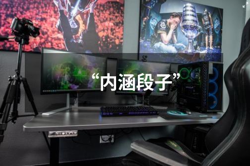 “内涵段子”-第1张-游戏资讯-龙启网络