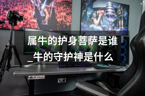 属牛的护身菩萨是谁_牛的守护神是什么-第1张-游戏资讯-龙启网络