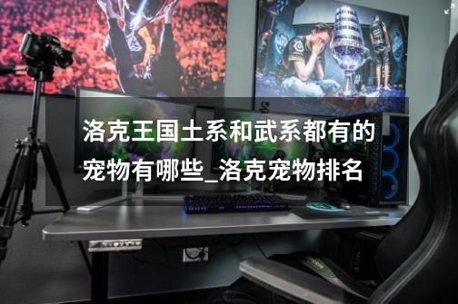洛克王国土系和武系都有的宠物有哪些_洛克宠物排名-第1张-游戏资讯-龙启网络