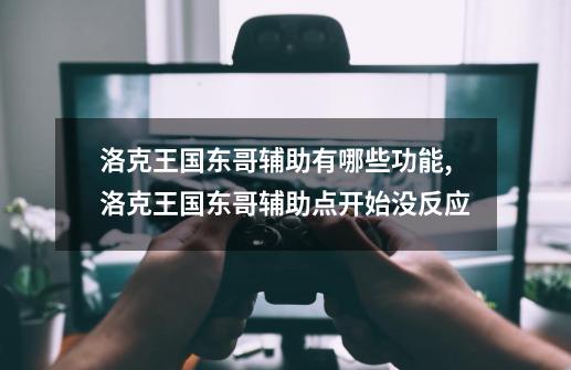洛克王国东哥辅助有哪些功能,洛克王国东哥辅助点开始没反应-第1张-游戏资讯-龙启网络
