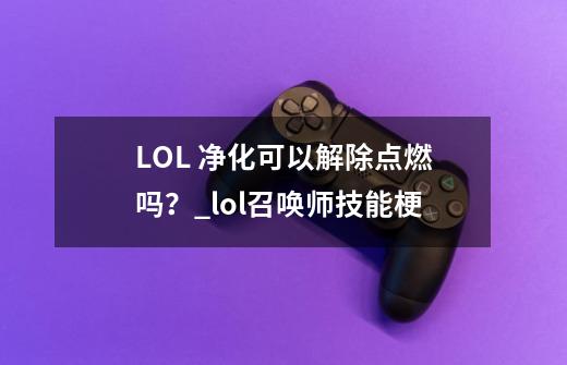 LOL 净化可以解除点燃吗?_lol召唤师技能梗-第1张-游戏资讯-龙启网络