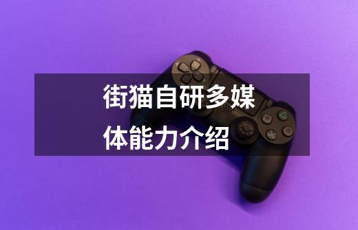 街猫自研多媒体能力介绍-第1张-游戏资讯-龙启网络