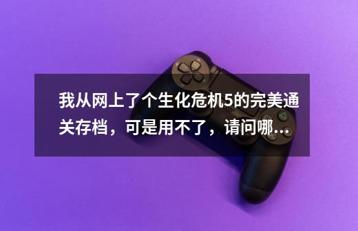 我从网上了个生化危机5的完美通关存档,可是用不了,请问哪位仁兄知道如何把存档导入游戏,越详细...,生化危机启示录存档导入-第1张-游戏资讯-龙启网络