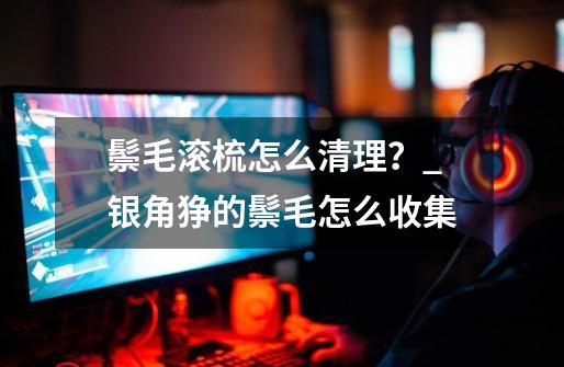 鬃毛滚梳怎么清理?_银角狰的鬃毛怎么收集-第1张-游戏资讯-龙启网络