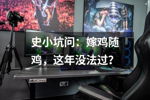 史小坑问:嫁鸡随鸡,这年没法过?-第1张-游戏资讯-龙启网络