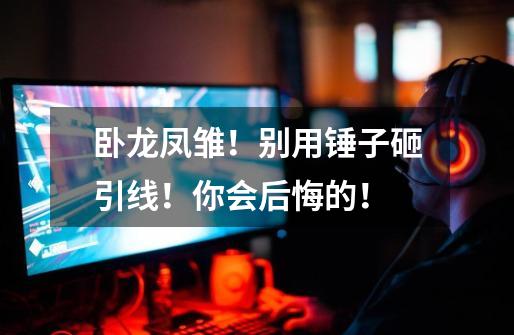 卧龙凤雏!别用锤子砸引线!你会后悔的!-第1张-游戏资讯-龙启网络