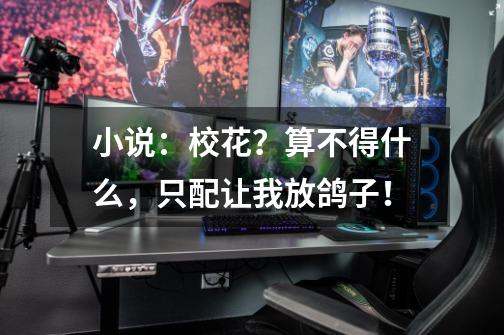 小说:校花?算不得什么,只配让我放鸽子!-第1张-游戏资讯-龙启网络