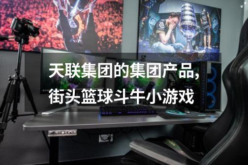 天联集团的集团产品,街头篮球斗牛小游戏-第1张-游戏资讯-龙启网络