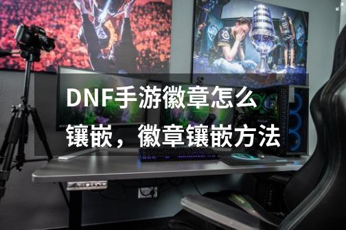 DNF手游徽章怎么镶嵌,徽章镶嵌方法-第1张-游戏资讯-龙启网络