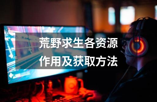 荒野求生各资源作用及获取方法-第1张-游戏资讯-龙启网络