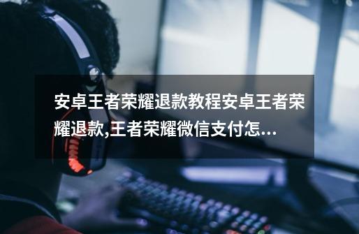 安卓王者荣耀退款教程安卓王者荣耀退款,王者荣耀微信支付怎么退款-第1张-游戏资讯-龙启网络