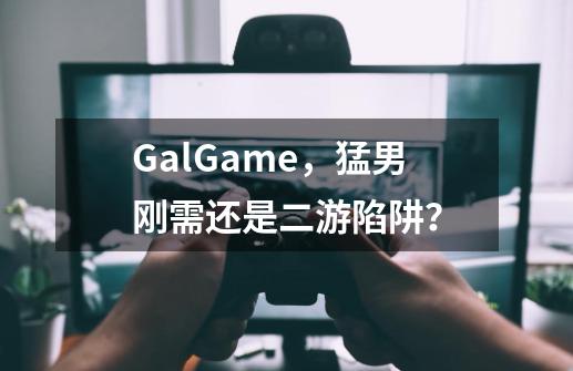 GalGame,猛男刚需还是二游陷阱?-第1张-游戏资讯-龙启网络