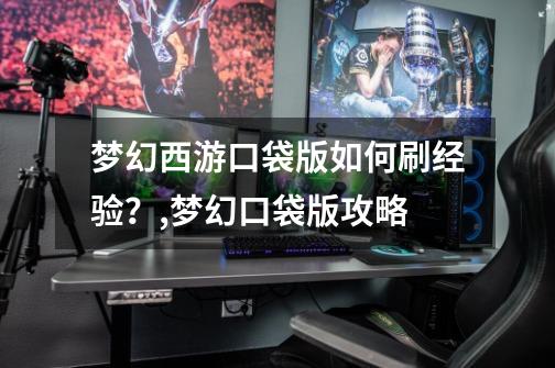 梦幻西游口袋版如何刷经验?,梦幻口袋版攻略-第1张-游戏资讯-龙启网络