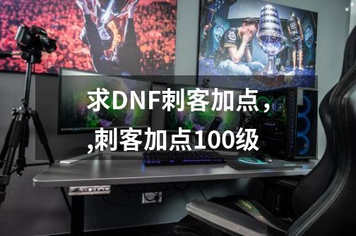 求DNF刺客加点,,刺客加点100级-第1张-游戏资讯-龙启网络
