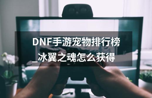 DNF手游宠物排行榜_冰翼之魂怎么获得-第1张-游戏资讯-龙启网络