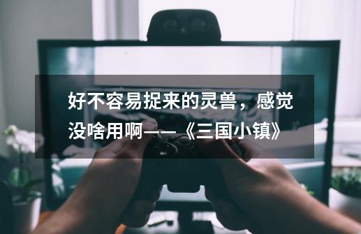 好不容易捉来的灵兽,感觉没啥用啊——《三国小镇》-第1张-游戏资讯-龙启网络