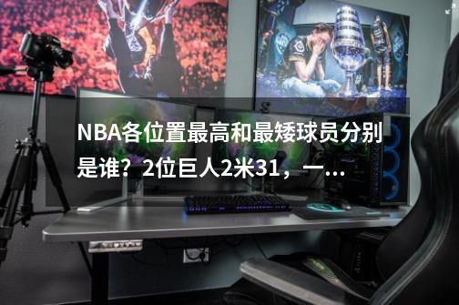 NBA各位置最高和最矮球员分别是谁?2位巨人2米31,一对相差48cm-第1张-游戏资讯-龙启网络