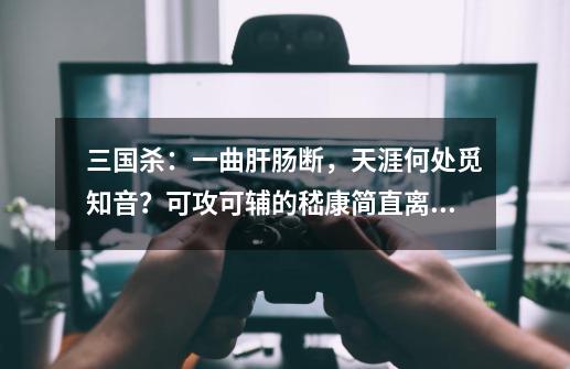 三国杀:一曲肝肠断,天涯何处觅知音?可攻可辅的嵇康简直离谱-第1张-游戏资讯-龙启网络