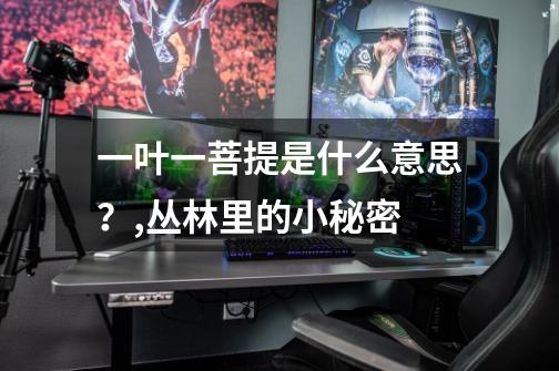 一叶一菩提是什么意思?,丛林里的小秘密-第1张-游戏资讯-龙启网络