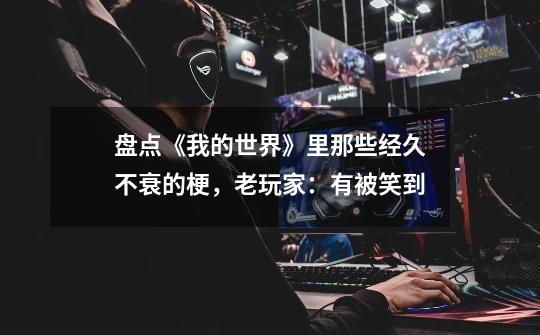 盘点《我的世界》里那些经久不衰的梗,老玩家:有被笑到-第1张-游戏资讯-龙启网络