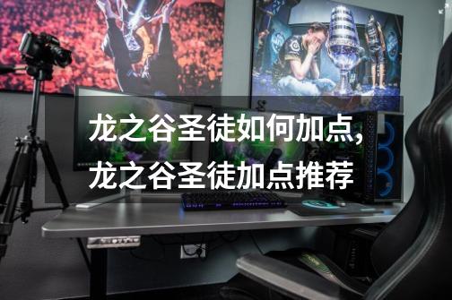 龙之谷圣徒如何加点,龙之谷圣徒加点推荐-第1张-游戏资讯-龙启网络