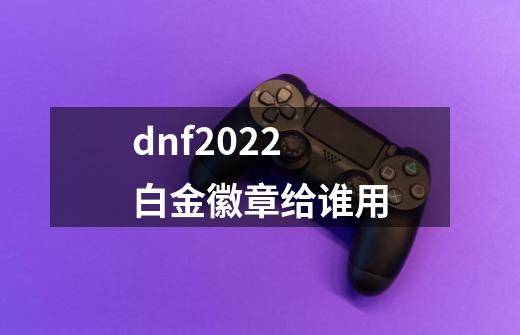 dnf2022白金徽章给谁用-第1张-游戏资讯-龙启网络