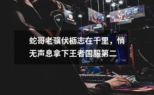 蛇哥老骥伏枥志在千里,悄无声息拿下王者国服第二-第1张-游戏资讯-龙启网络