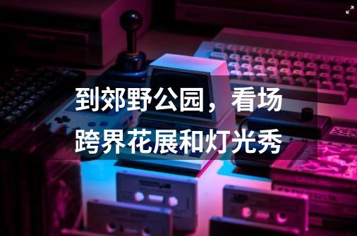 到郊野公园,看场跨界花展和灯光秀-第1张-游戏资讯-龙启网络