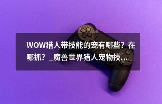 WOW猎人带技能的宠有哪些?在哪抓?_魔兽世界猎人宠物技能大全图解-第1张-游戏资讯-龙启网络