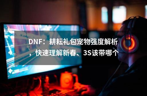 DNF:耕耘礼包宠物强度解析,快速理解新春、3S该带哪个-第1张-游戏资讯-龙启网络