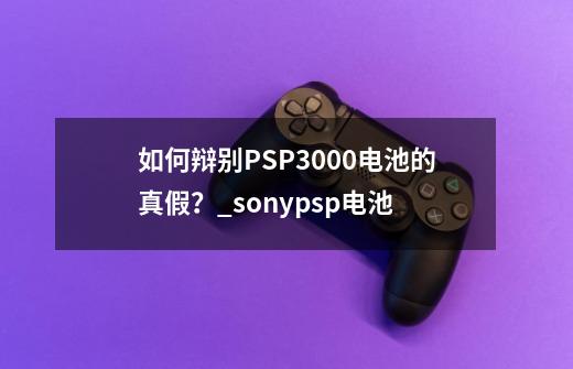 如何辩别PSP3000电池的真假?_sonypsp电池-第1张-游戏资讯-龙启网络